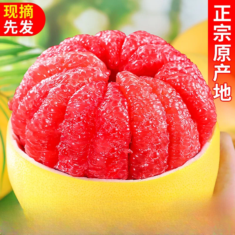 Z3【老树果】高山红心蜜柚现摘应季红心柚鲜嫩多汁当季水果