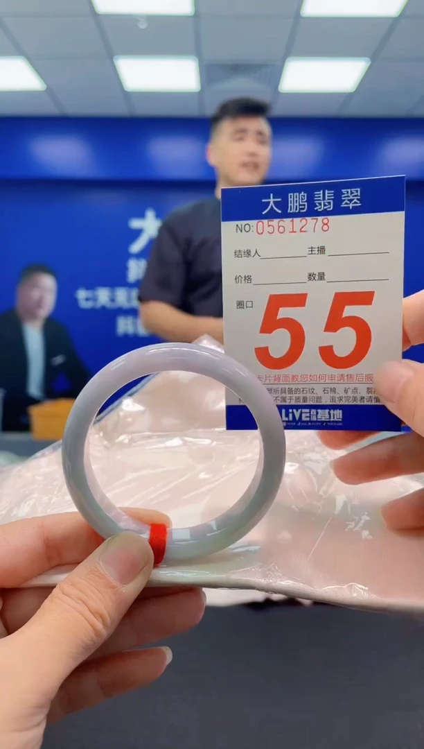 未镶嵌手镯翡翠AAAAAAAAA