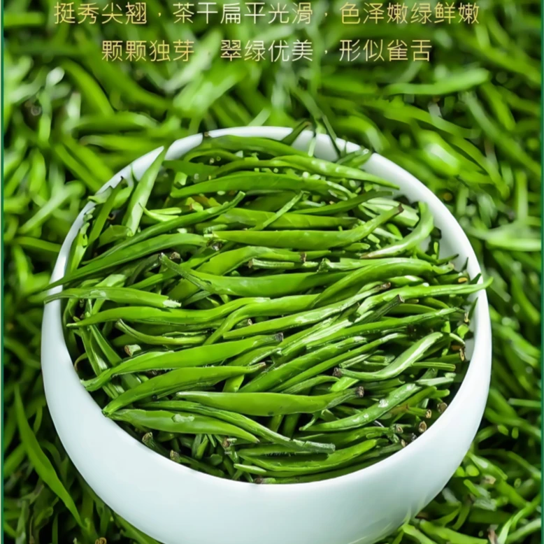 金黔贵雀舌茶叶2025新茶明前高山翠芽茶特级头采明前湄潭嫩芽春茶