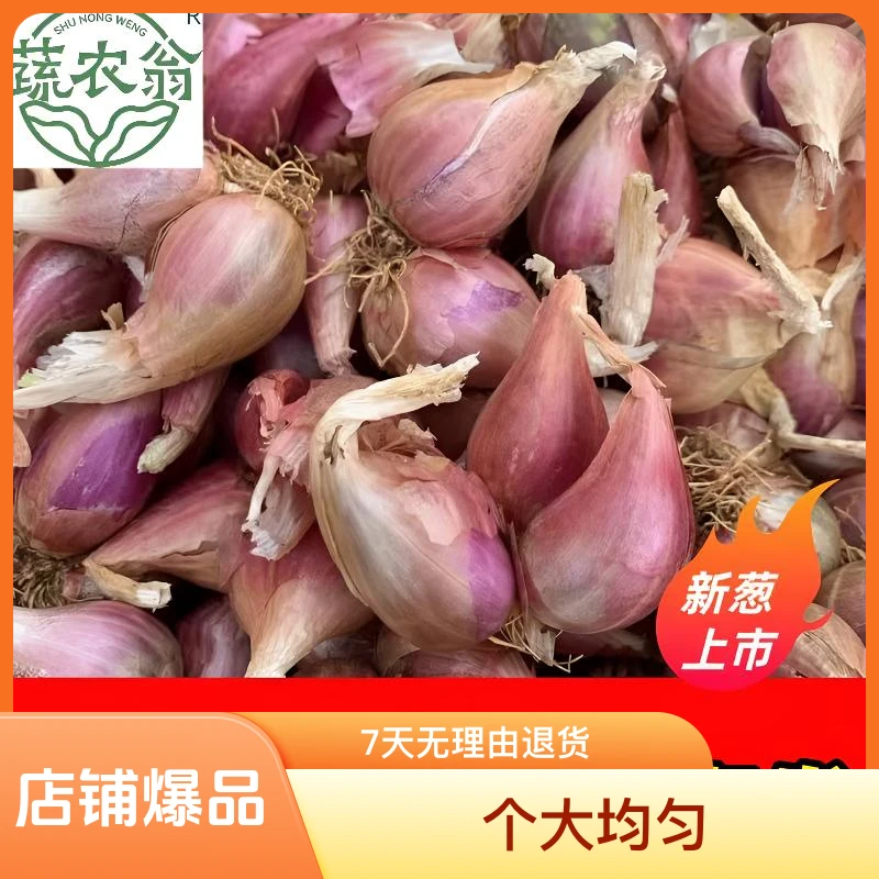 4. 广东红葱头产地直发/新鲜又实惠/熬油/炒菜/餐饮首先