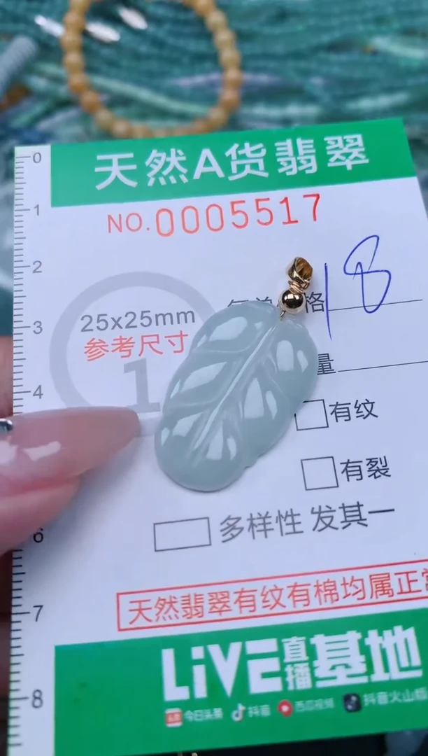 翡翠未镶嵌颈饰.0005517