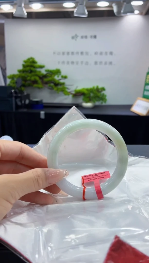 未镶嵌手镯翡翠2