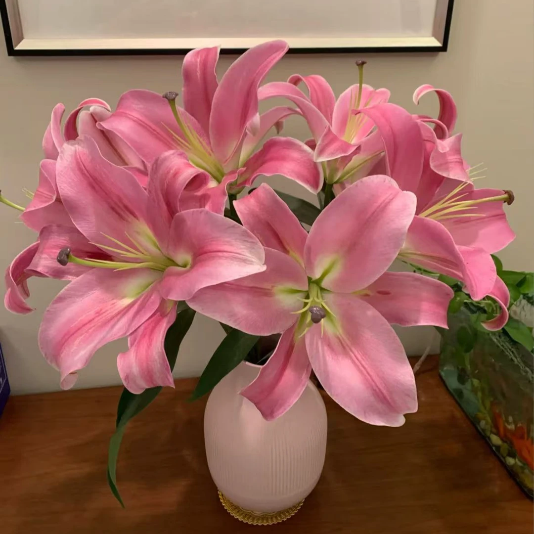 【一品花集】【普拉芬多】单瓣香水百合 云南昆明基地直发家用鲜花