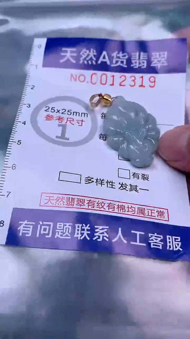 吊坠(赠链)未镶嵌翡翠1