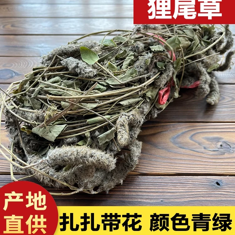 广西东精选野生狸尾草100g天然羊咩香无硫干货煲汤晾晒包邮非桑叶