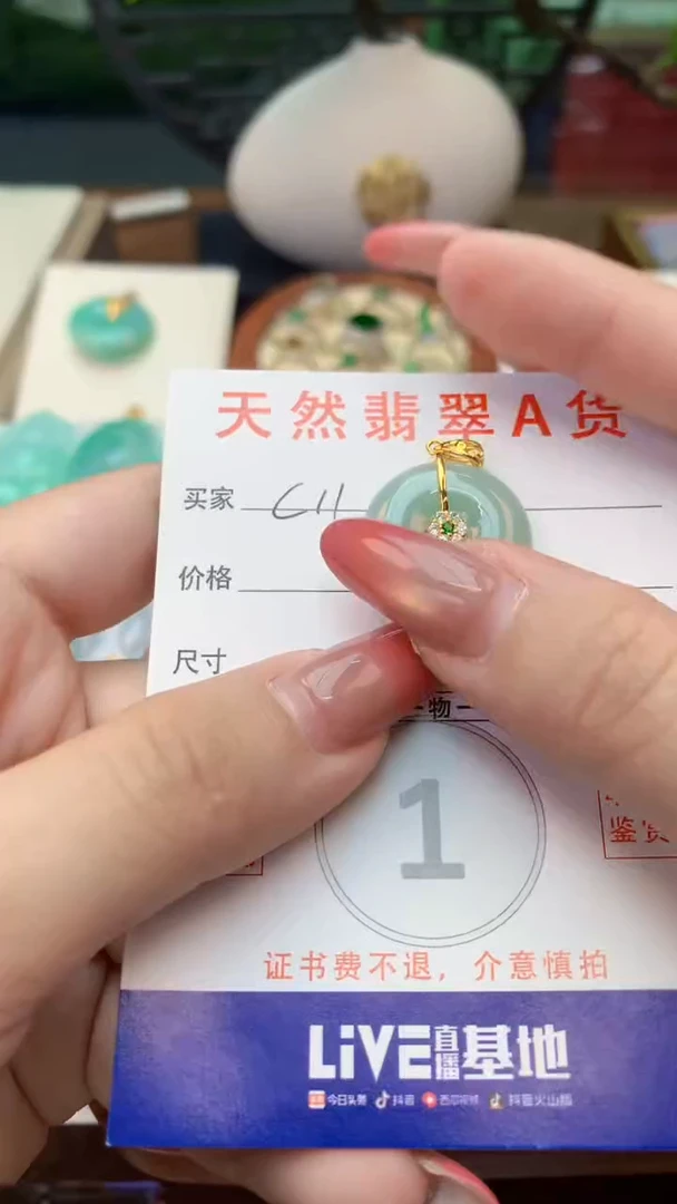 颈饰未镶嵌翡翠天然A货翡翠挂件