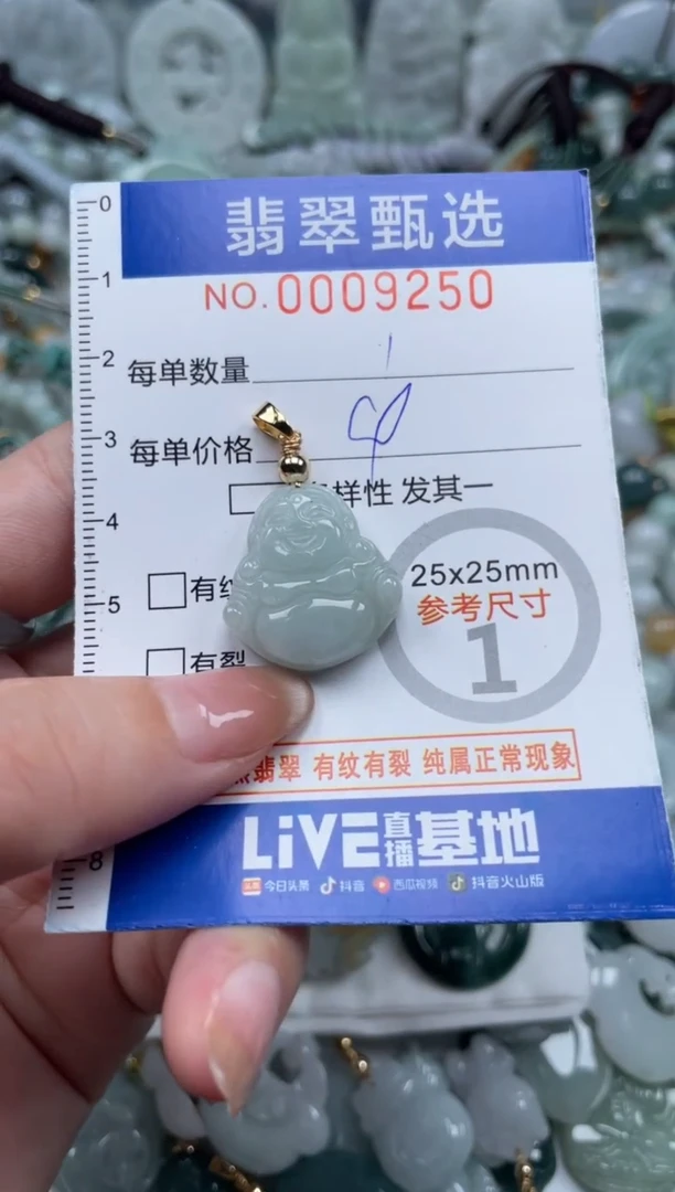 翡翠未镶嵌颈饰00..9250