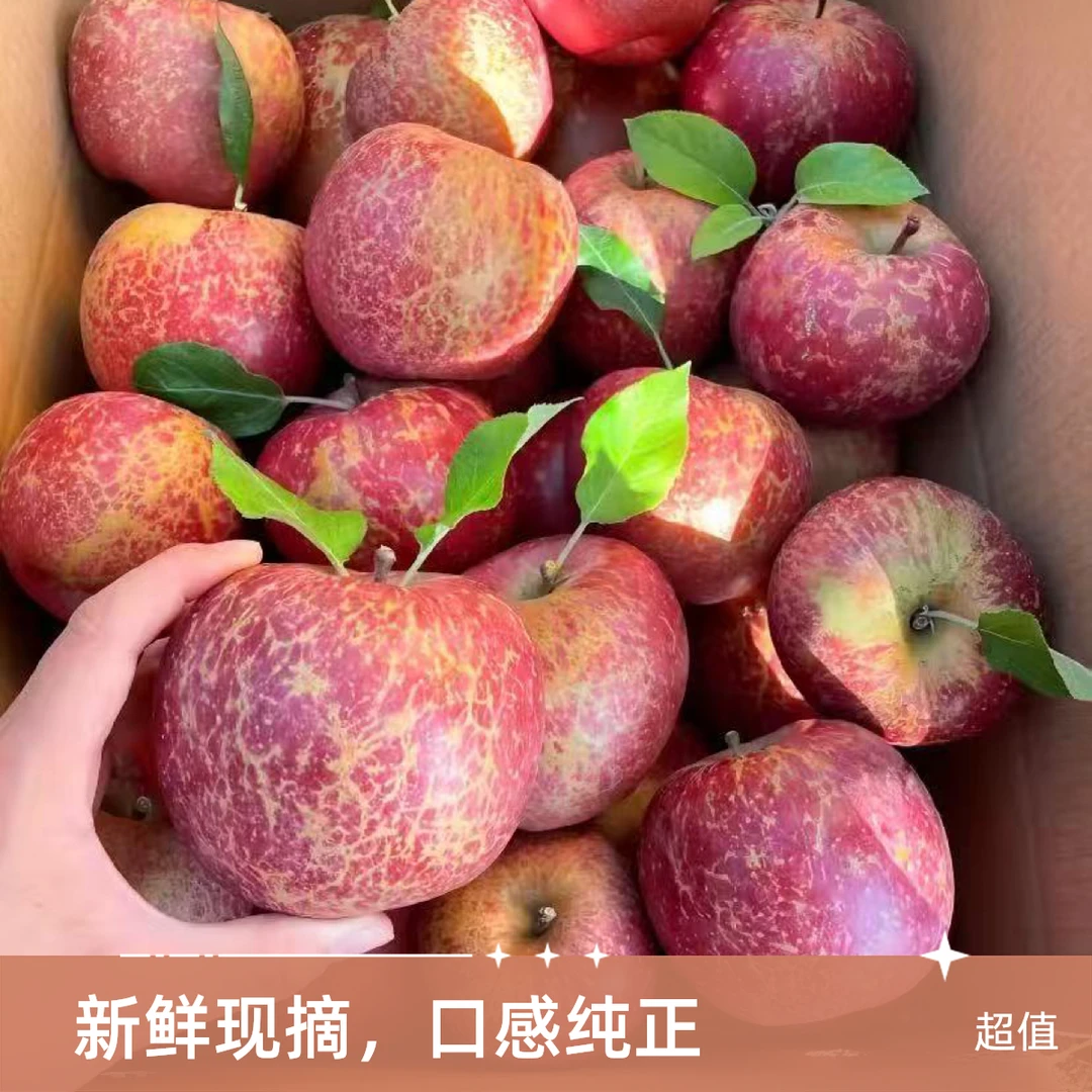 云南昭通冰糖心丑苹果现摘新鲜脆甜多汁肉厚营养水果【店铺直播】