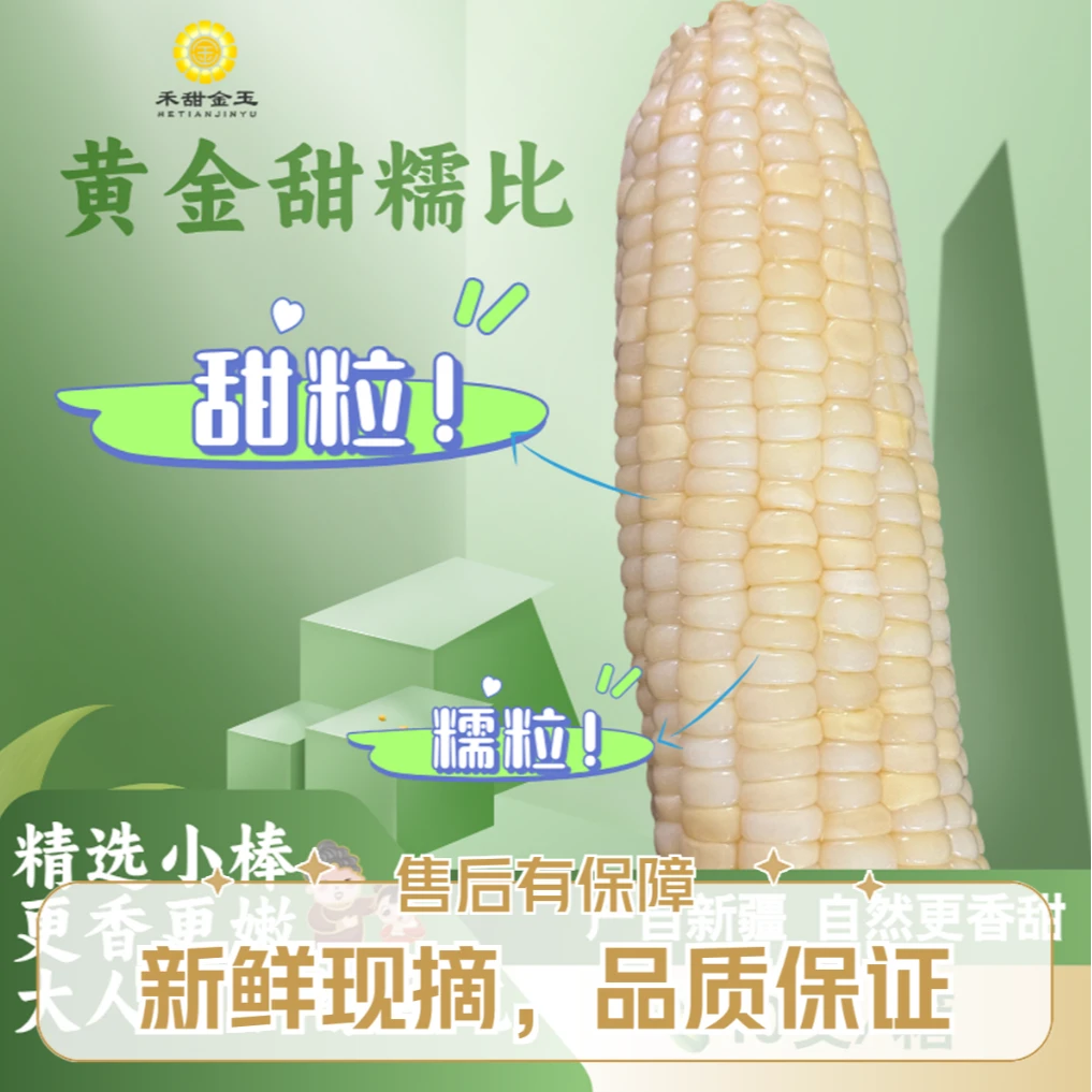 白甜糯玉米软糯香甜