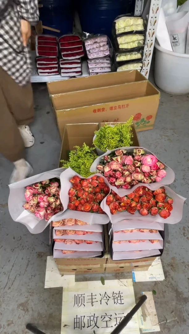 卡布20枝+巧克力10枝+折射10枝+黄莺