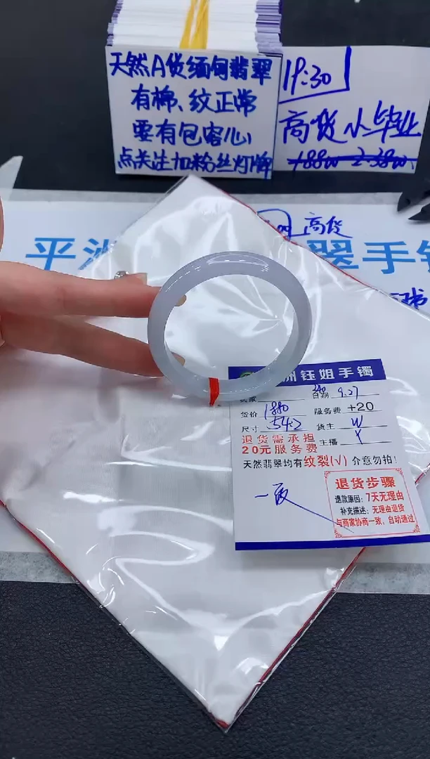 未镶嵌手镯翡翠111111