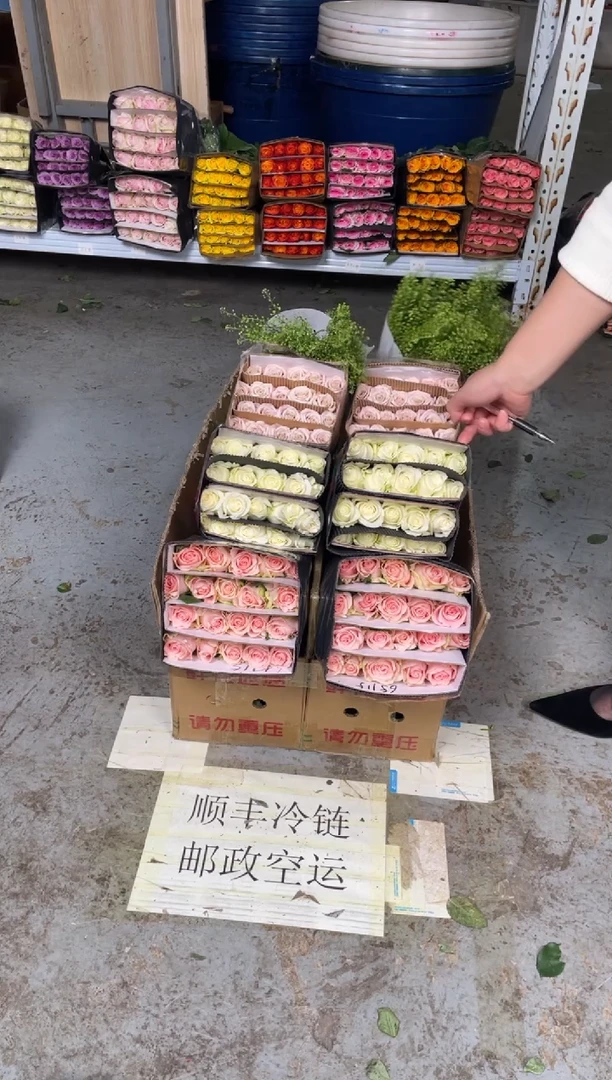 粉爱神20枝+骄傲20枝+曼塔20枝+绿林草