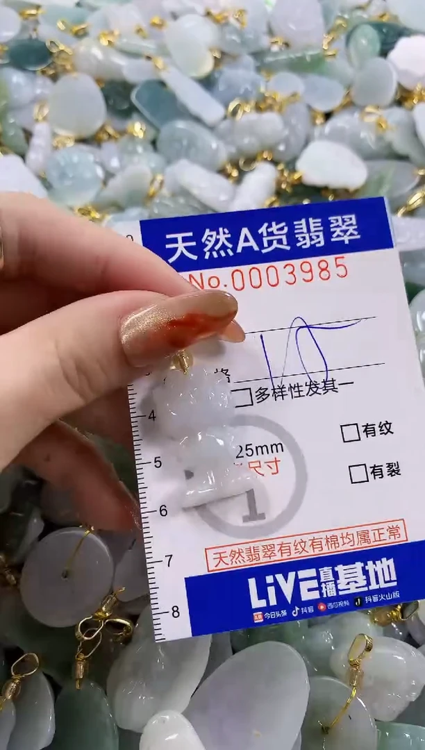 颈饰未镶嵌翡翠天然A货翡翠