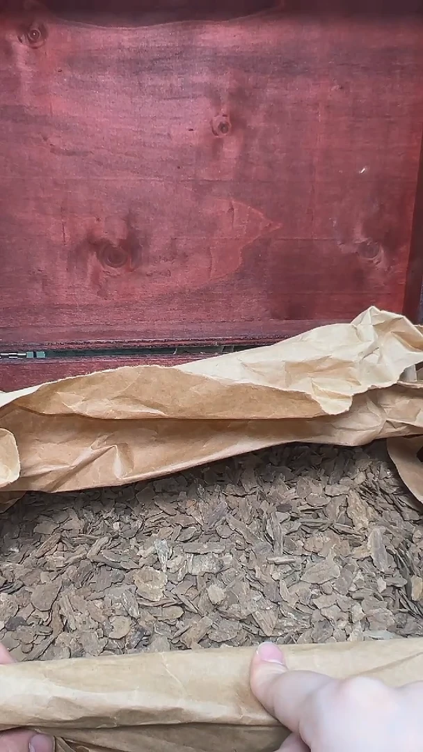 越南富森红土皮料1g装