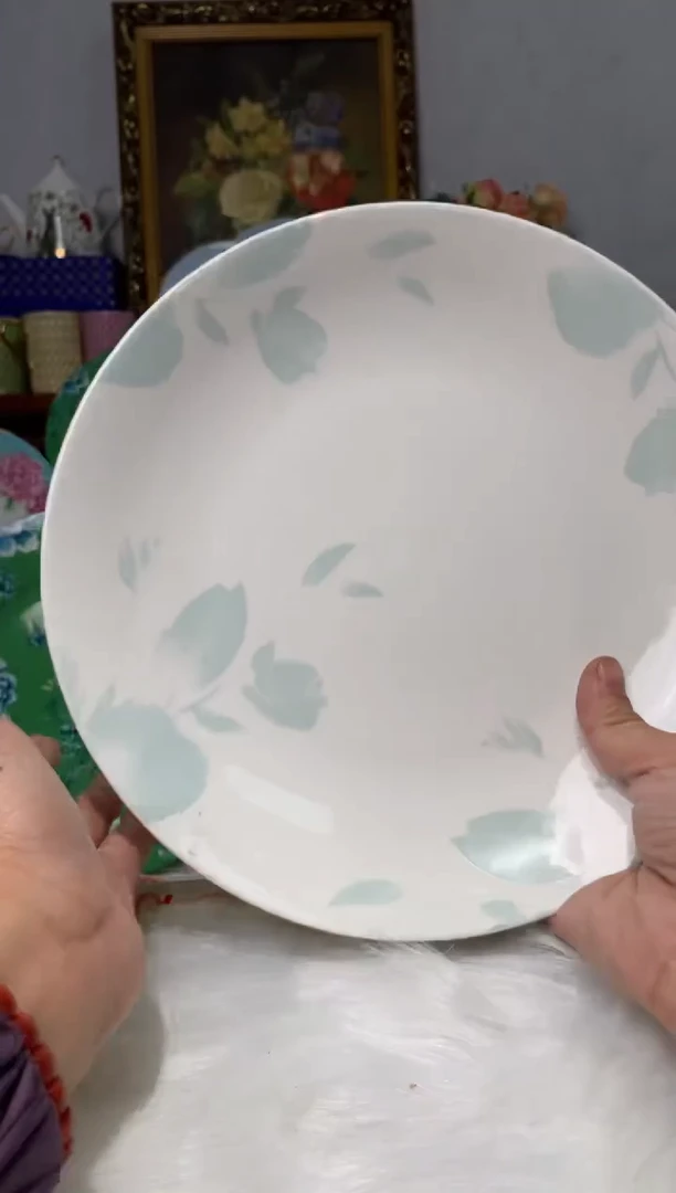 【闪购商品】瓷片CC108陶瓷没有完美无瑕陶瓷1个9寸