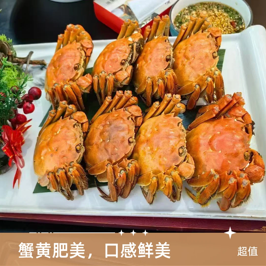 精品黄河口母大闸蟹单只2两左右一斤5只左右