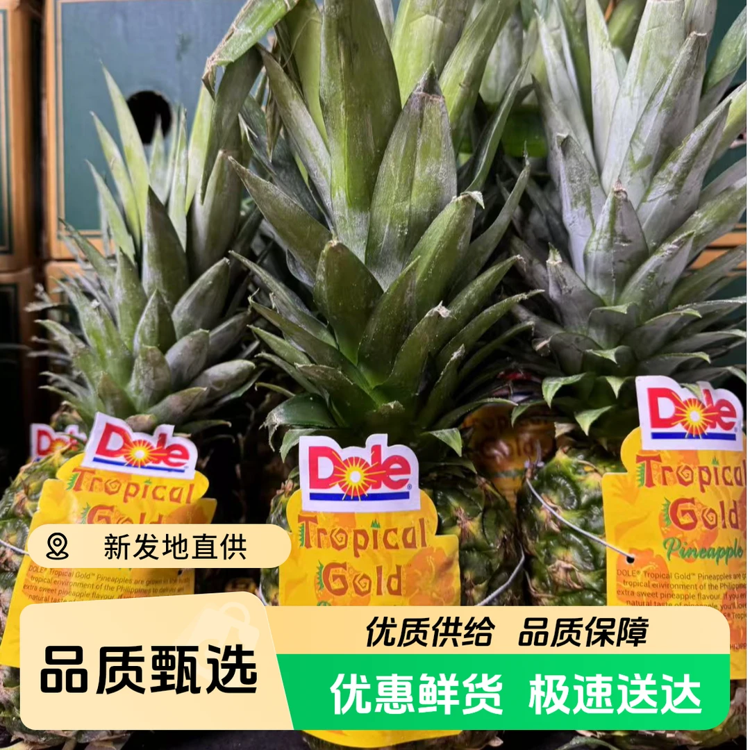 【都乐】菲律宾凤梨【2-4颗】【4.5-5斤】切开即食-香气浓郁【顺丰次日达】凤梨菲律宾共和国