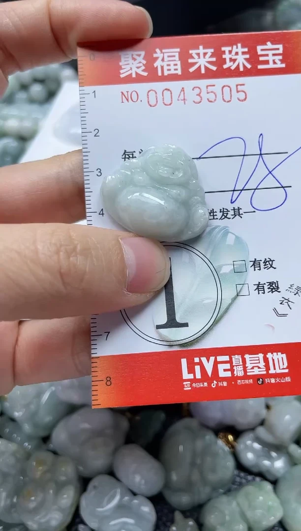 【闪购商品】翡翠颈饰未镶嵌闪购0043505