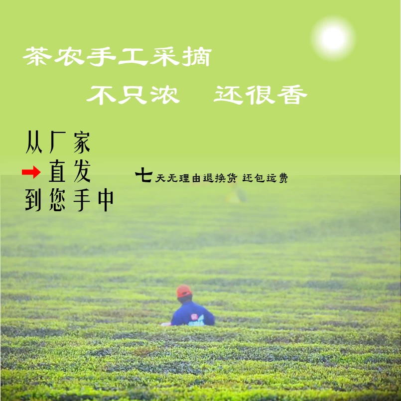 特级精选【b3】款毛尖一芽一叶绿茶嫩芽嫩叶的高山茶叶浓香