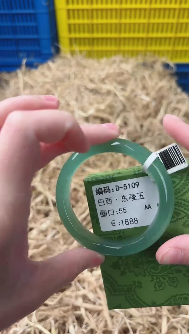 未镶嵌手镯石英质玉D-5109