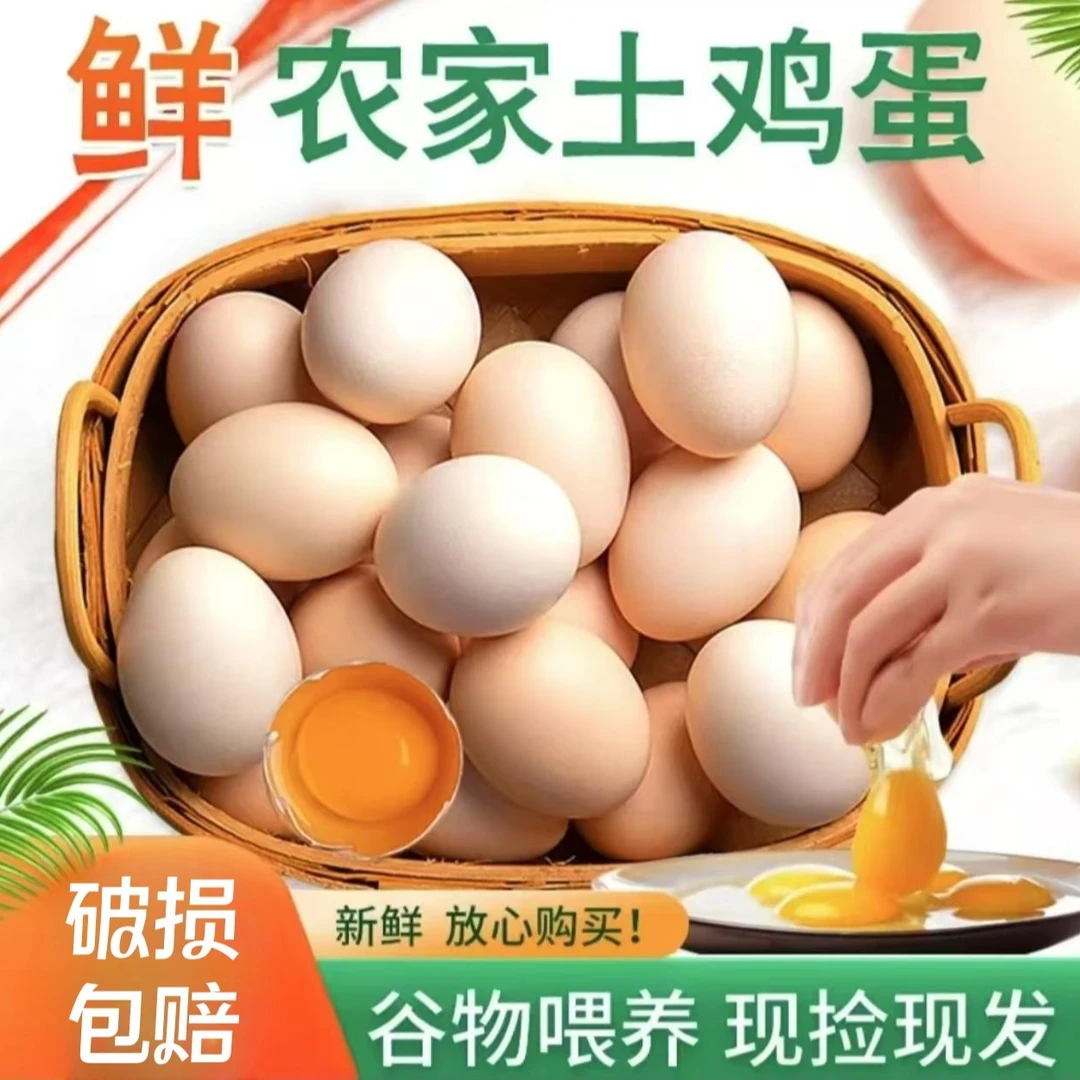 【雯雯土鸡】新鲜现捡现发土鸡蛋粉壳鸡蛋 50枚 破损包赔
