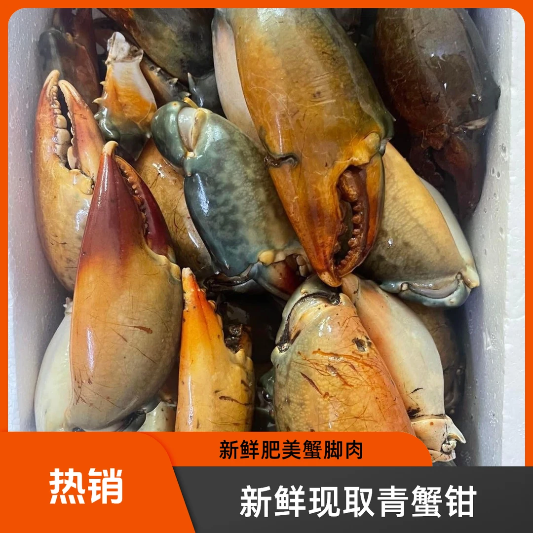 新鲜青蟹腿特大蟹钳鳌大肉多海鲜水产活蟹青蟹脚野生现掰蟹脚钳