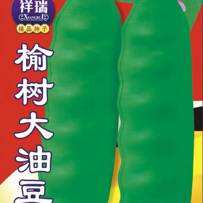 榆树油豆角高产豆角种子东北正宗开锅就烂抗病蔬菜种子豆角籽种