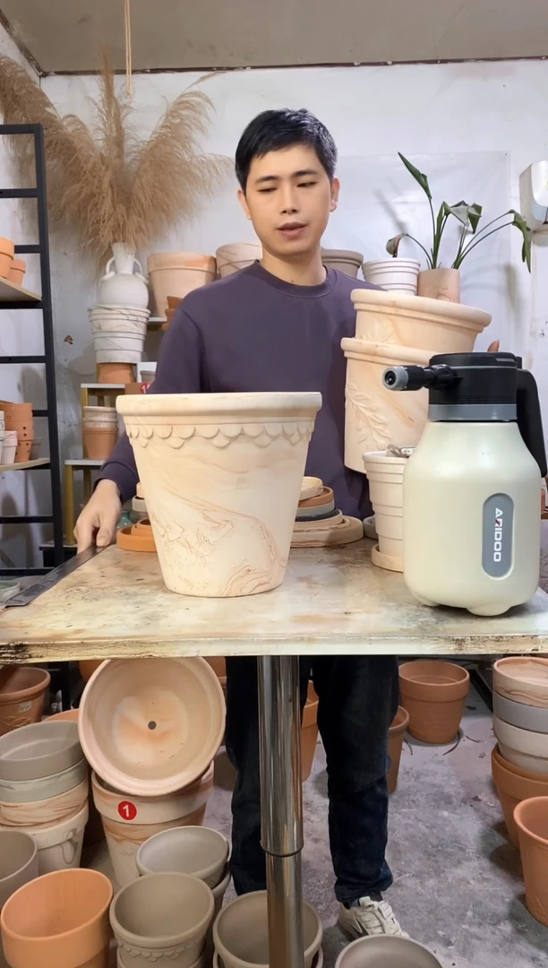 25*23玛奇朵巴洛克 1盆无托