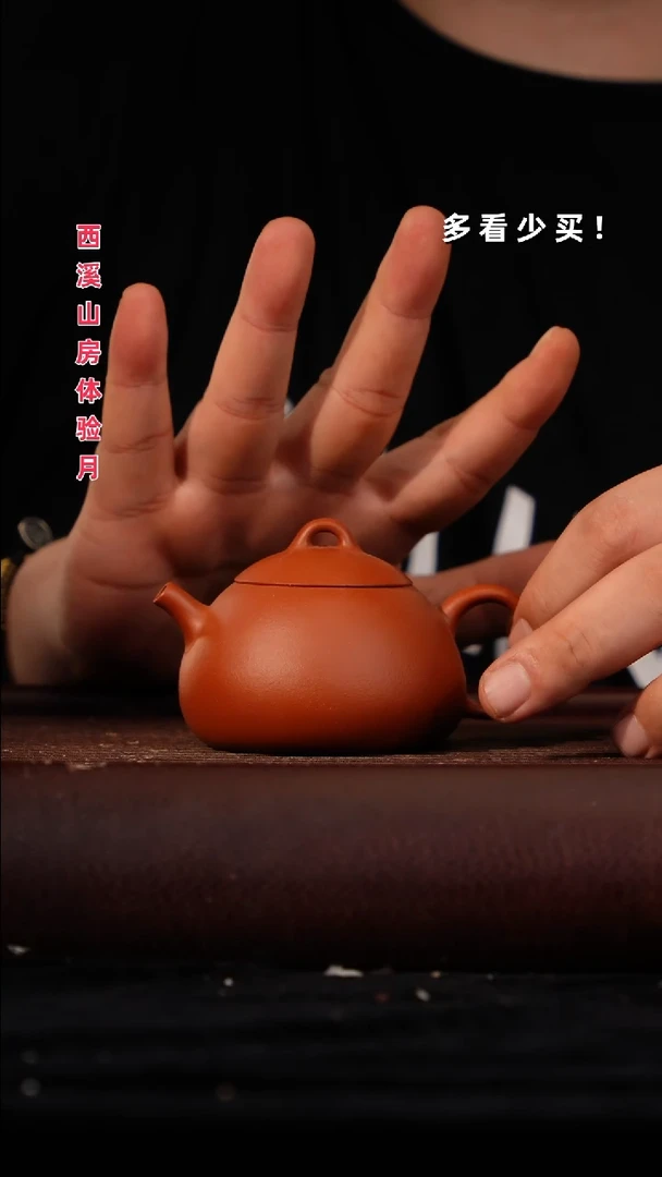茶壶紫砂紫砂壶紫砂壶紫砂壶