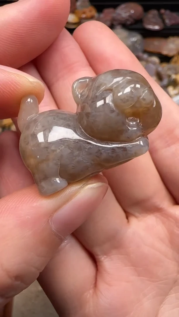 硅化珊瑚（珊瑚玉）未镶嵌颈饰587