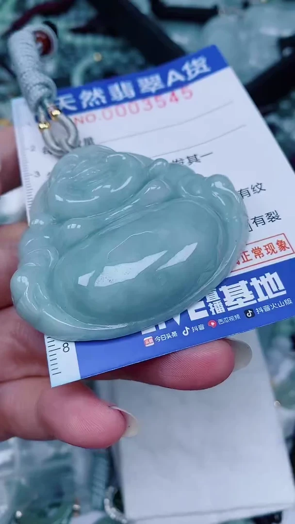 翡翠未镶嵌颈饰00003545