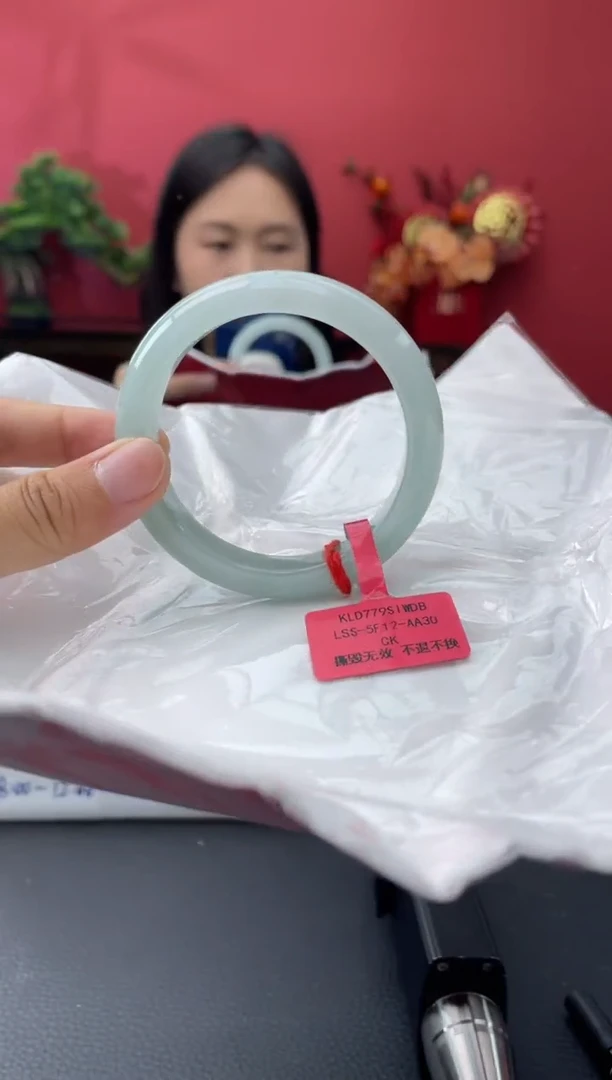 未镶嵌手镯翡翠14