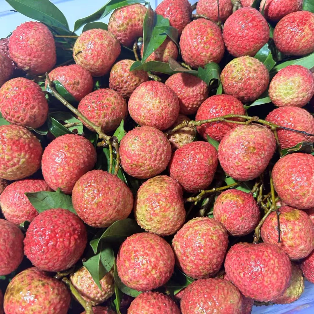【散装2斤大果】鸡嘴王者荔枝散装2斤