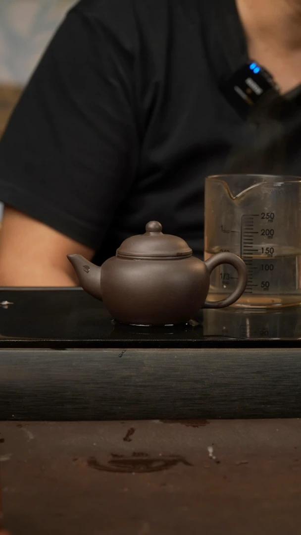 茶壶紫砂19，鸽嘴水平，黑料，120cc