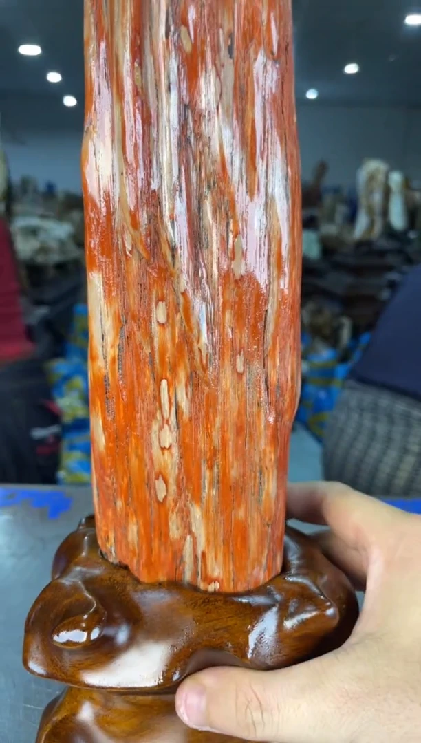 未镶嵌摆件硅化玉8