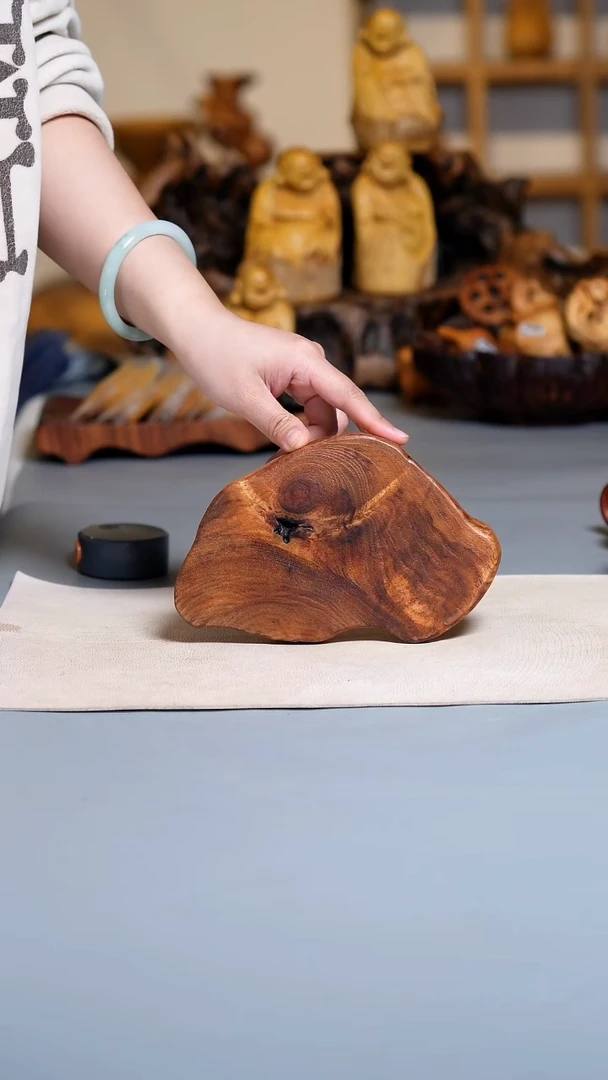 木香樟木切片C2706