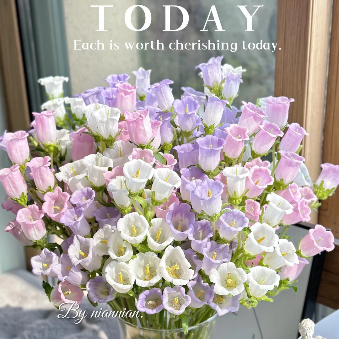 【风铃花】云南鲜花 0度以下请拍保温 发货后不支持退款