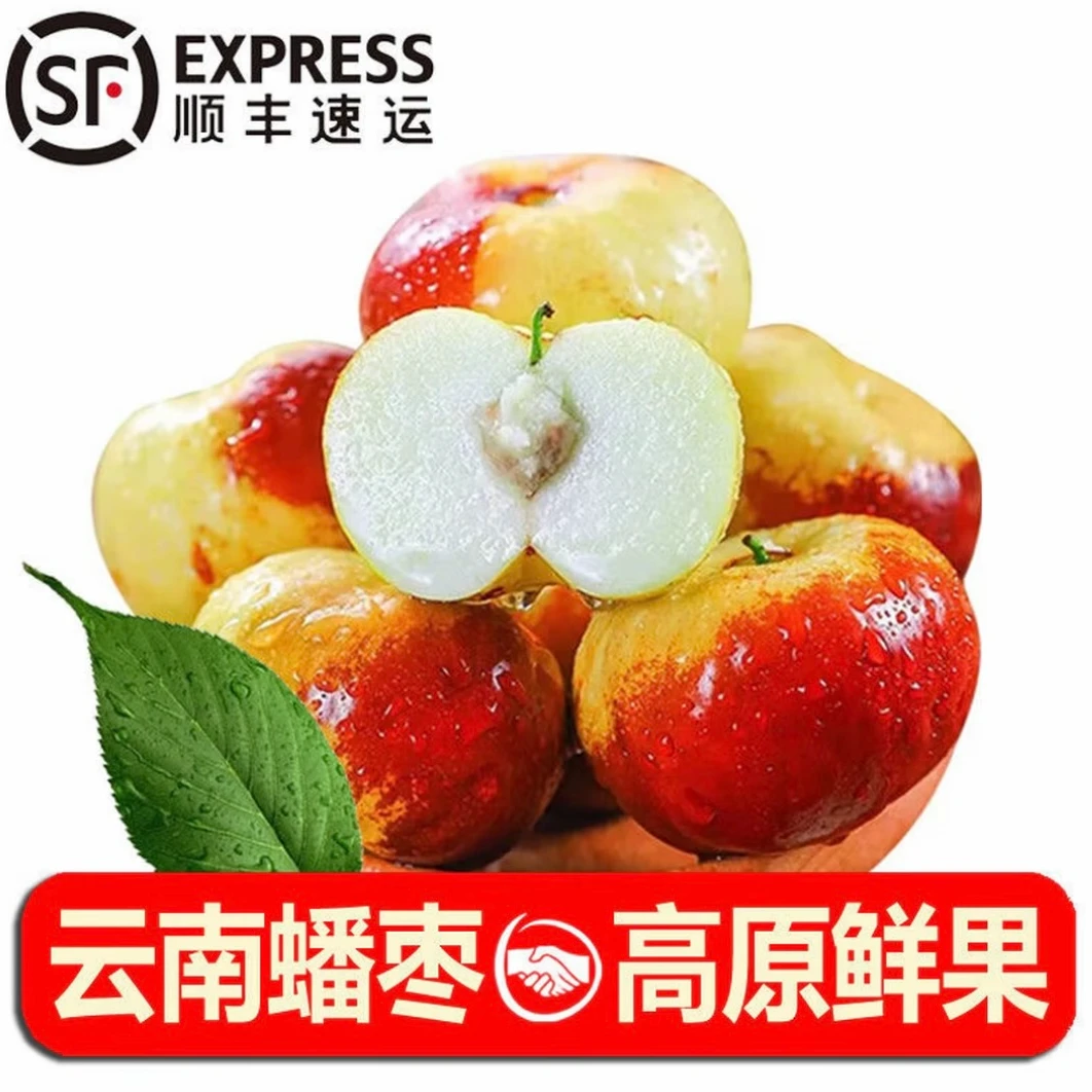 【顺丰包邮】云南高原蟠枣脆甜皮薄肉厚新鲜现采大蟠枣产地直发