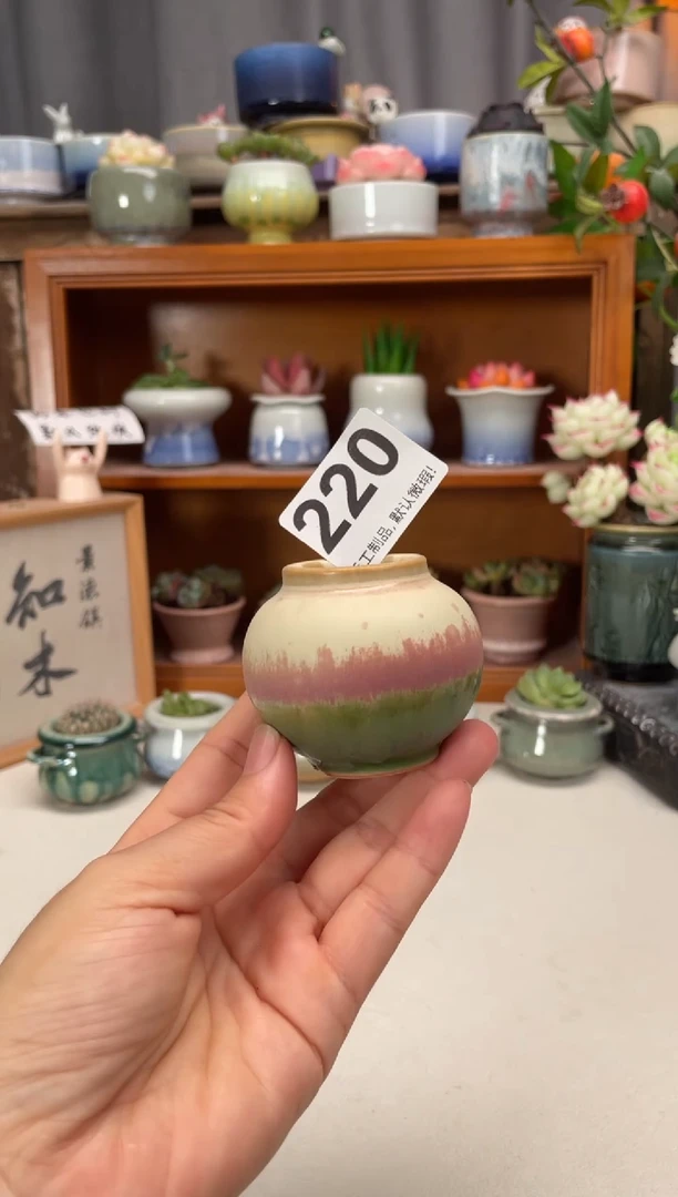 瓷片220知木小芳花盆