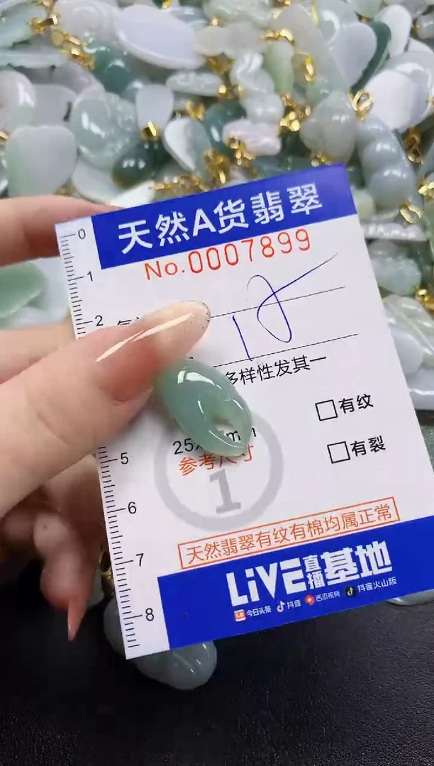 颈饰未镶嵌翡翠天然A货翡翠