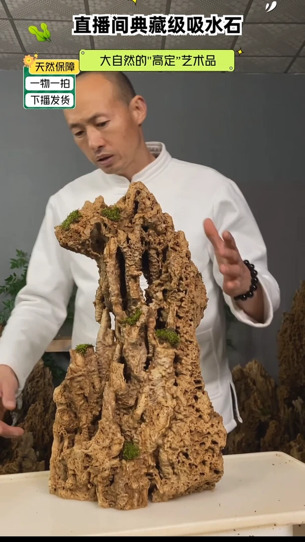 无花朵忠*天然吸水石上水石盆景111111