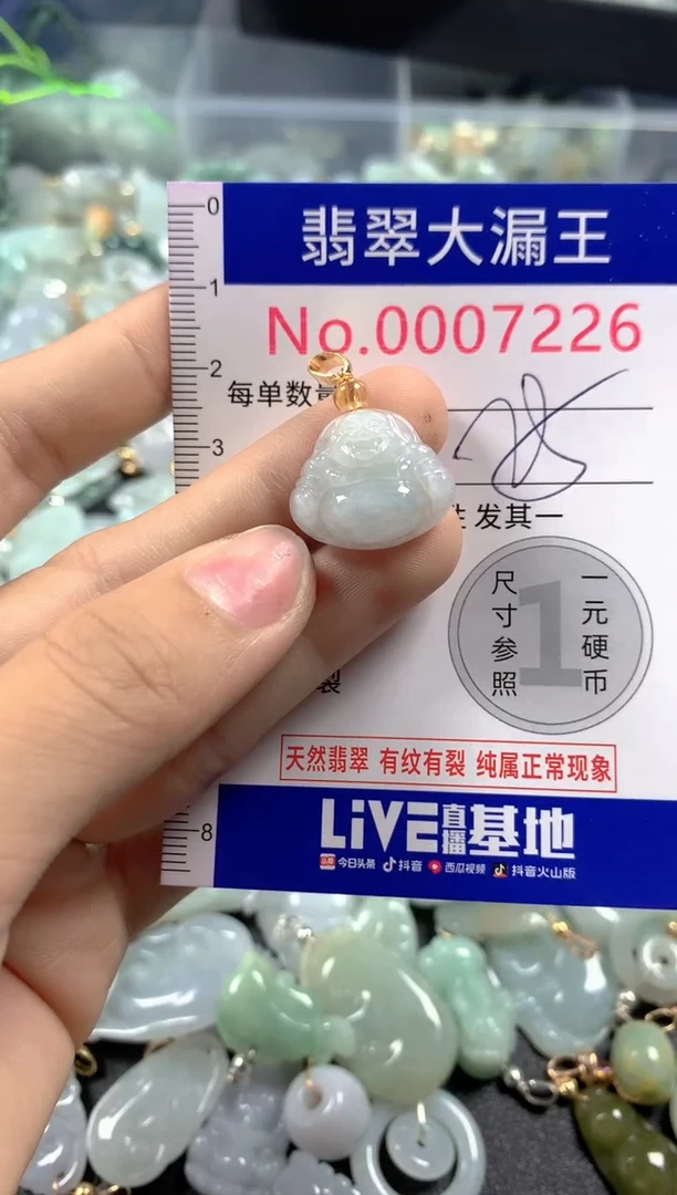 颈饰未镶嵌翡翠7226