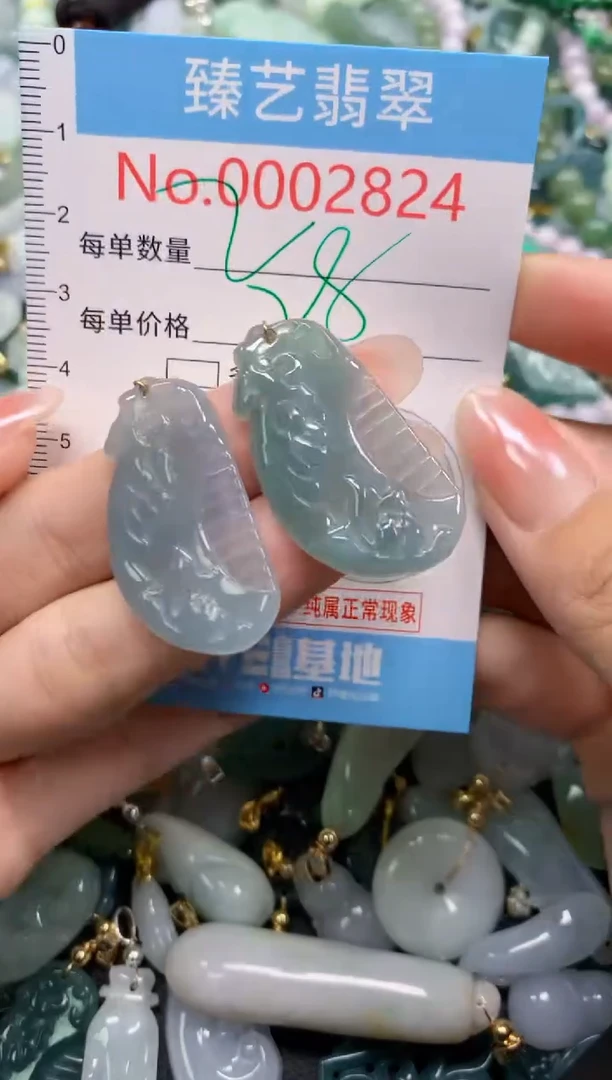 颈饰未镶嵌翡翠2824