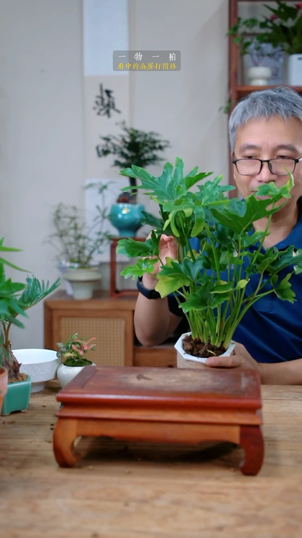 完全开放ɀ****赵春羽300