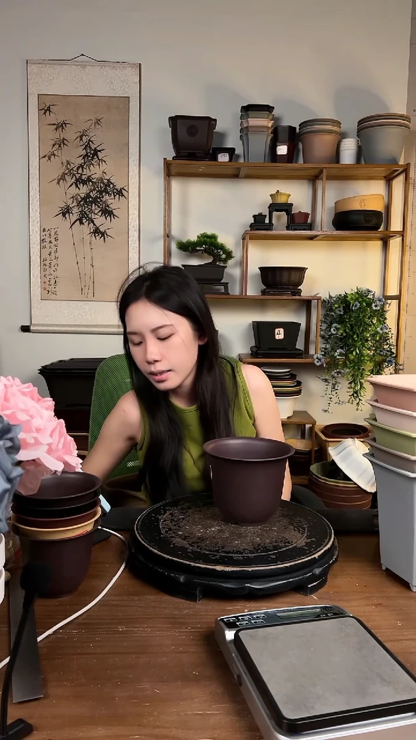 10只15口径金钟紫檀色