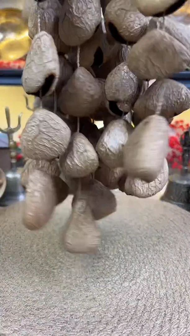 果壳