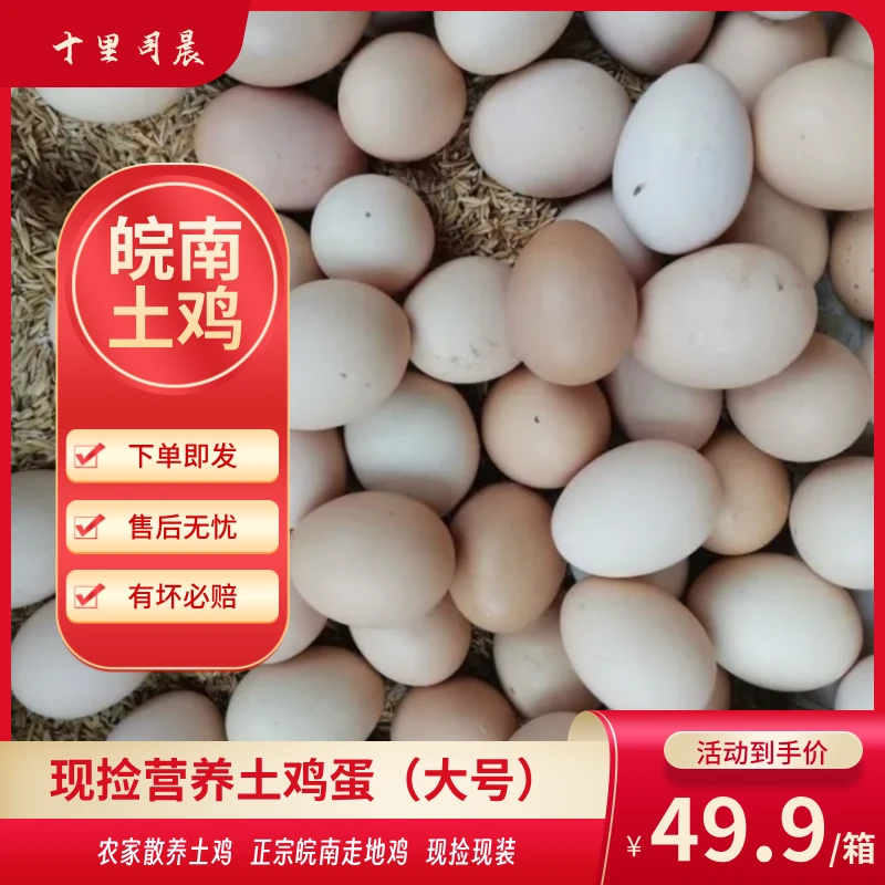 现捡现装 皖南散养土鸡鸡蛋 50枚一箱 （大号）