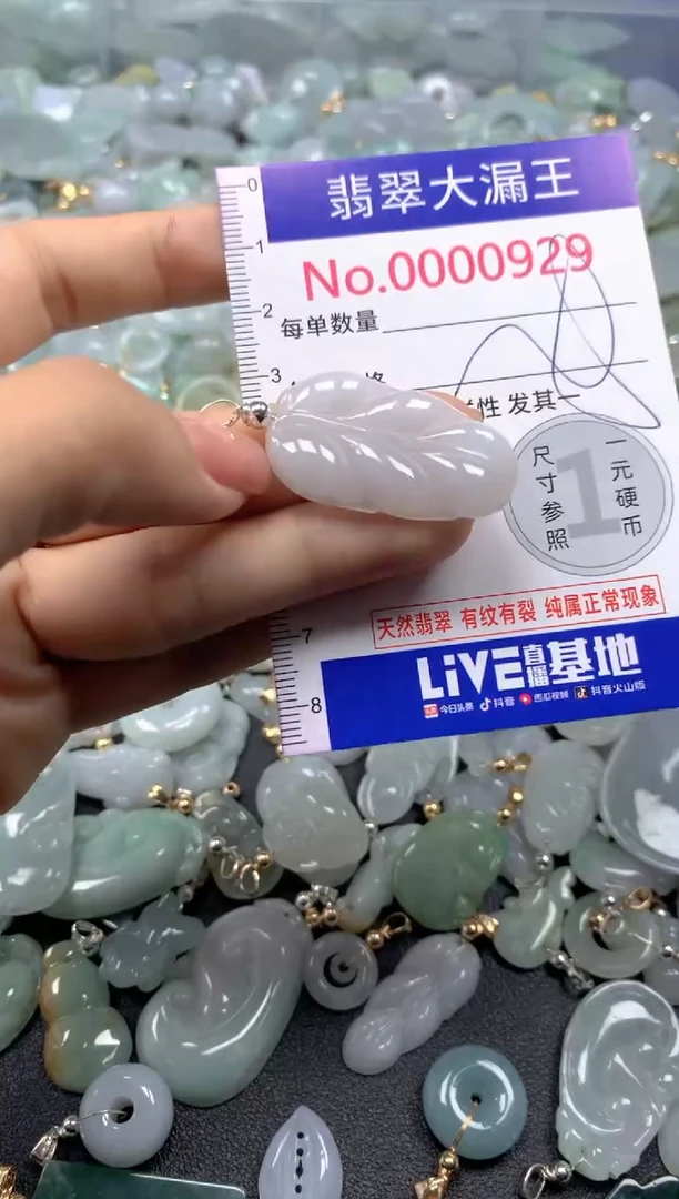 颈饰未镶嵌翡翠929