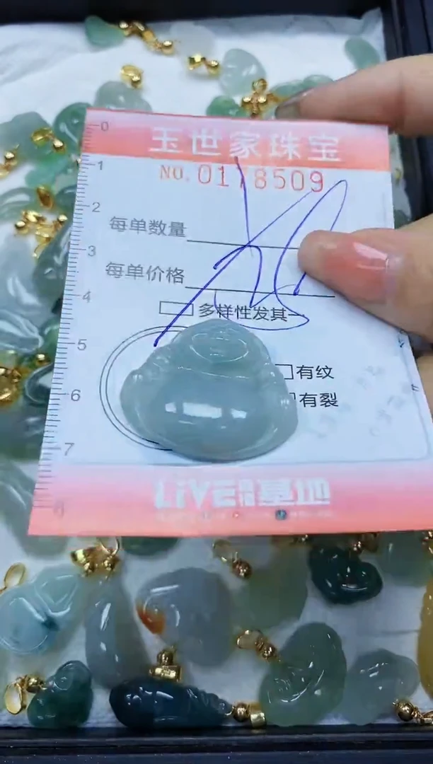 【闪购商品】翡翠颈饰未镶嵌闪购0178509