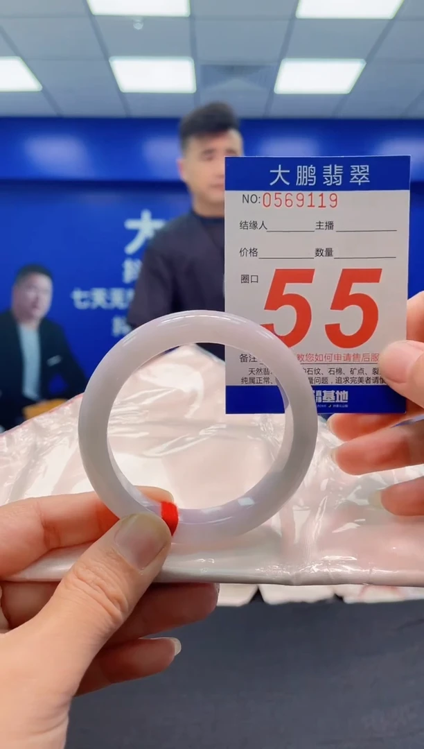 未镶嵌手镯翡翠AAAAAAAAA